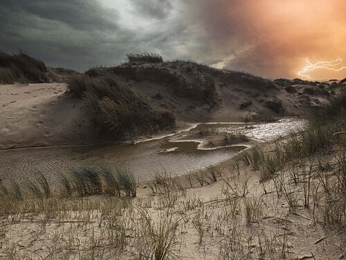 Dunes of Texel National Park